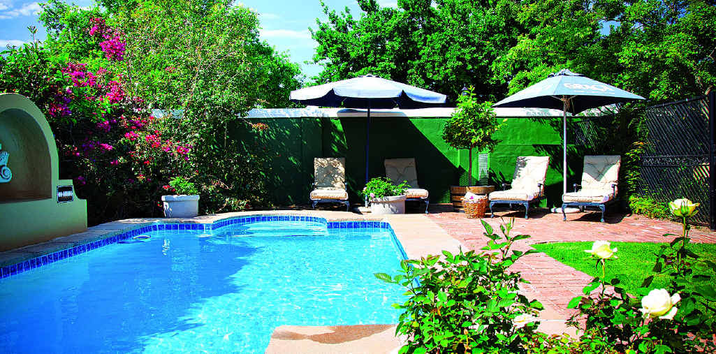 Think low maintenance near the pool, so steer well clear of anything that will drop leaves, flowers or fruit. Think low maintenance near the pool, so steer well clear of anything that will drop leaves, flowers or fruit.